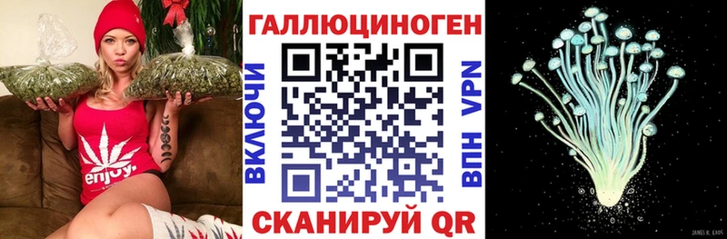 закладки Бирюсинск Псилоцибиновые грибы GOLDEN TEACHER
