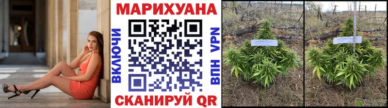 Марихуана SATIVA & INDICA  OMG зеркало  Бирюсинск 